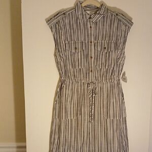 Striped Blue and White Women's Dress